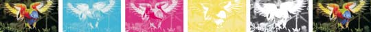 Litho Printing Yorkshire